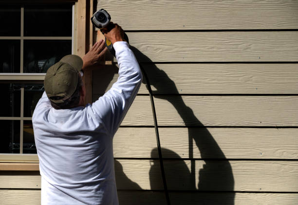 Best Siding Painting and Refinishing  in Plainwell, MI