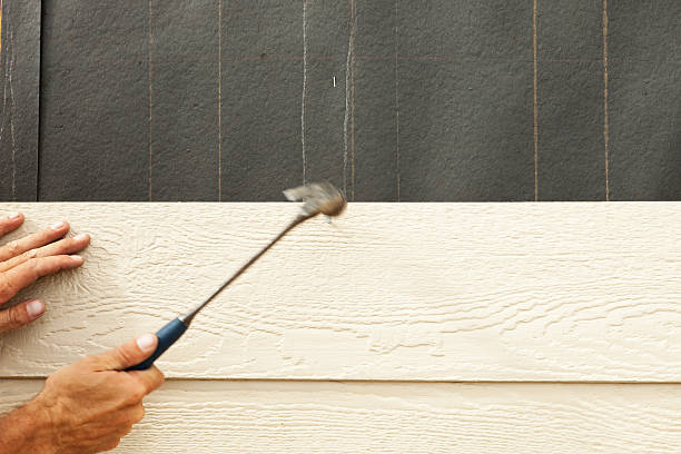Affordable Siding Repair and Maintenance Services in Plainwell, MI